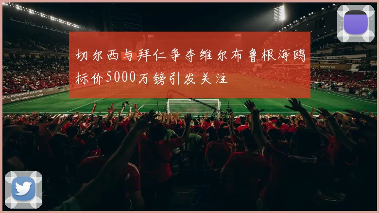 切尔西与拜仁争夺维尔布鲁根海鸥标价5000万镑引发关注