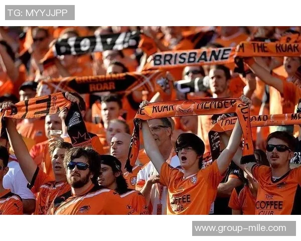 尼斯俱乐部发声谴责球迷暴力行为呼吁维护体育精神与安全