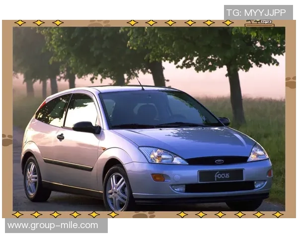 福克斯强调全新阵容需迅速磨合以提升球队竞争力